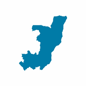 Kongo Vizesi